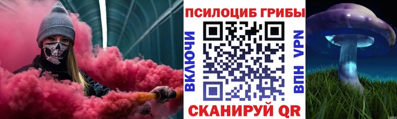 mega зеркало Зеленогорск Псилоцибиновые грибы Cubensis где найти наркотики