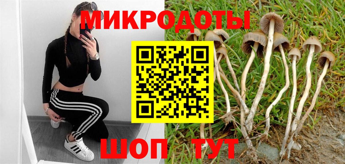 Псилоцибиновые грибы Psilocybe  Вход с VPN  Псилоцибиновые грибы Magic Shrooms  Зеленогорск 