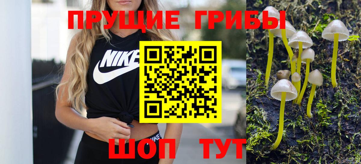 Галлюциногенные грибы ЛСД  Галлюциногенные грибы ЛСД  Зеленогорск 